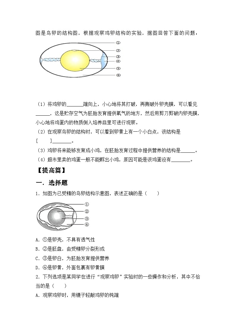 【核心素养目标】人教版初中生物八年级下册7.1.4《鸟的生殖和发育》课件+视频+教学设计+同步分层练习（含答案）02
