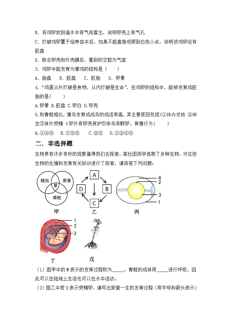 【核心素养目标】人教版初中生物八年级下册7.1.4《鸟的生殖和发育》课件+视频+教学设计+同步分层练习（含答案）03