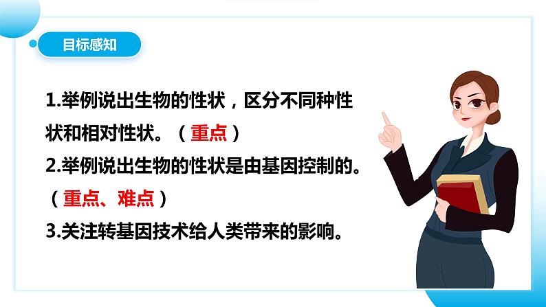 【核心素养目标】人教版初中生物八年级下册7.2.1《基因控制生物的性状 》课件第4页