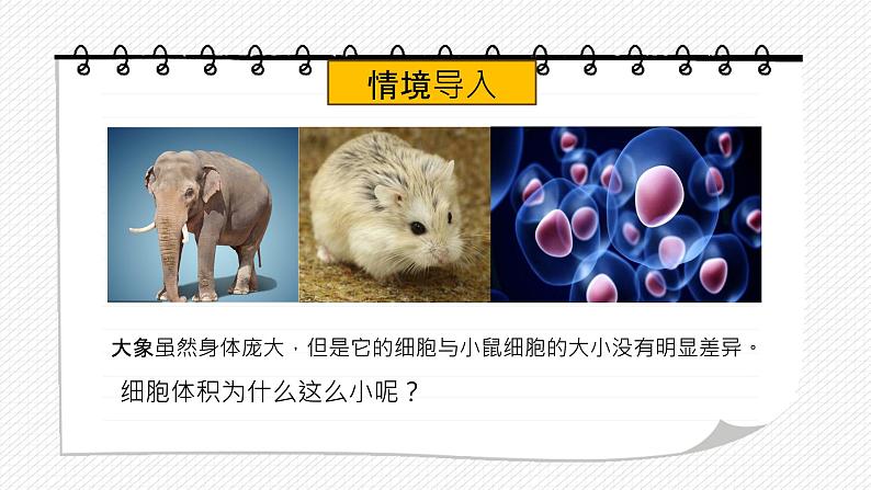 第三节 细胞通过分裂而增殖课件PPT01