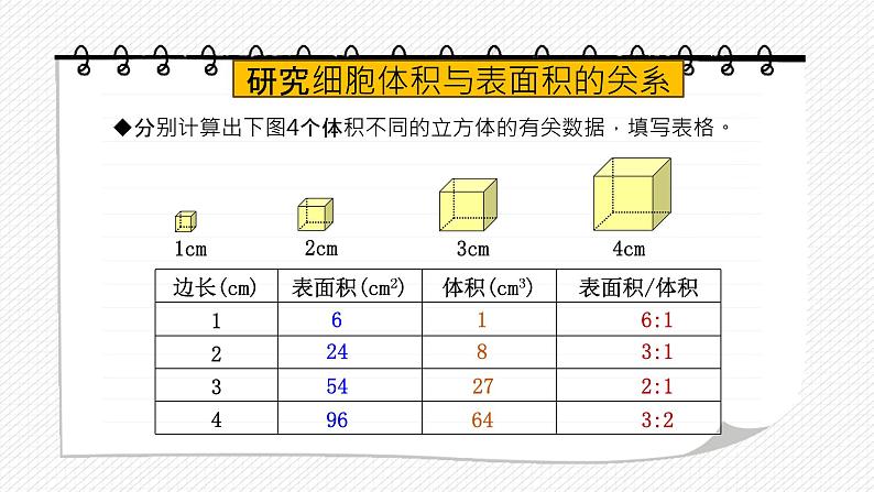 第三节 细胞通过分裂而增殖课件PPT06