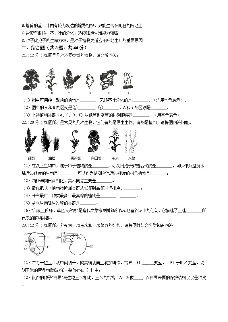 第三单元  第一章  《生物圈中有哪些绿色植物》能力测试题-2021-2022学年七年级生物人教版上册(word版含答案)03