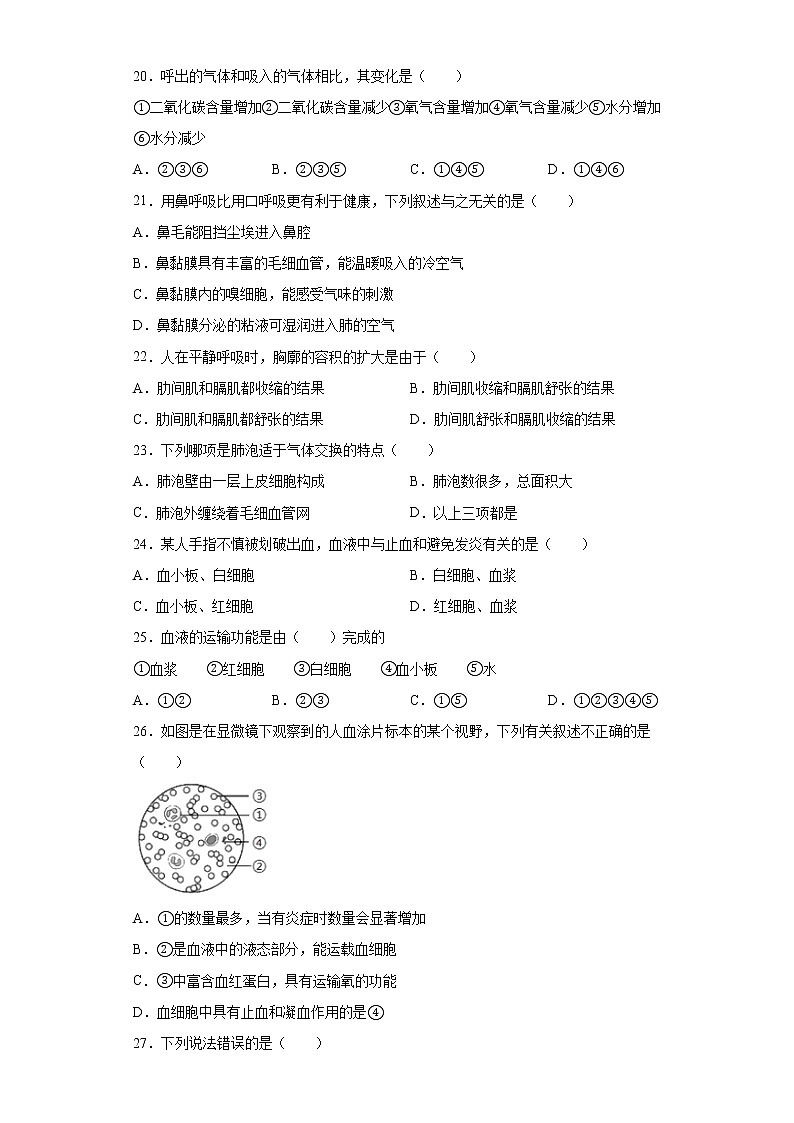 山东省青岛市崂山区2020-2021学年七年级下学期期中生物试题(word版含答案)03