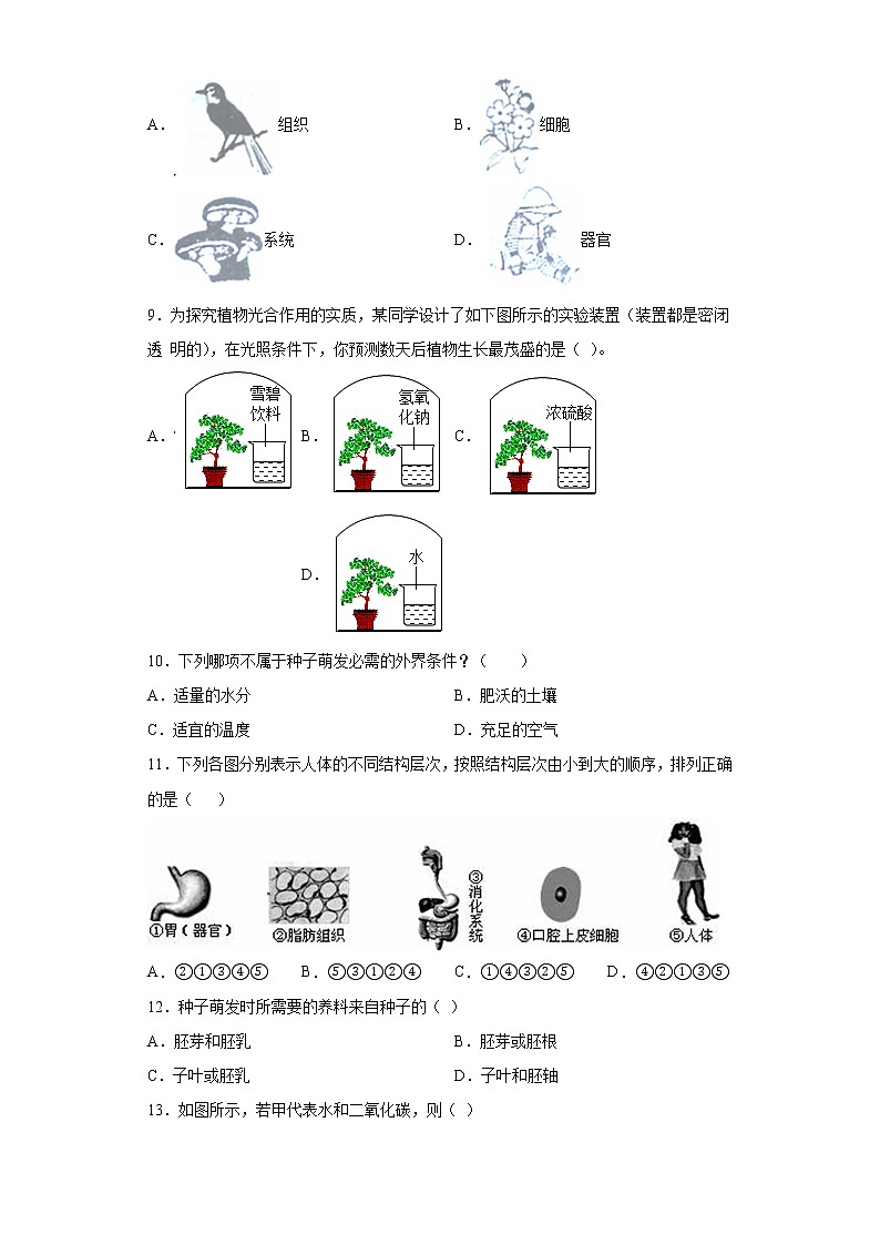 山东省青岛市城阳区2020-2021学年七年级上学期期末生物试题(word版含答案)02