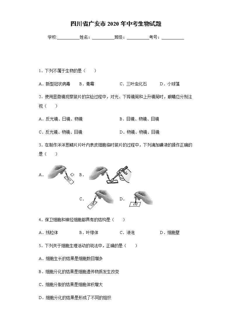 四川省广安市2020年中考生物试题及参考答案01