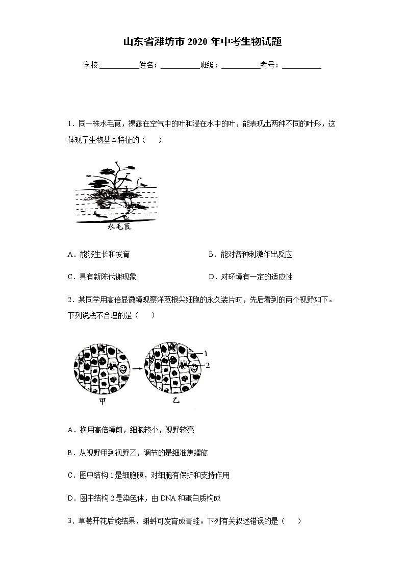 山东省潍坊市2020年中考生物试题及参考答案第1页