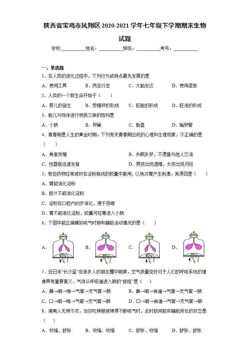 陕西省宝鸡市凤翔区2020-2021学年七年级下学期期末生物试题(word版含答案)第1页