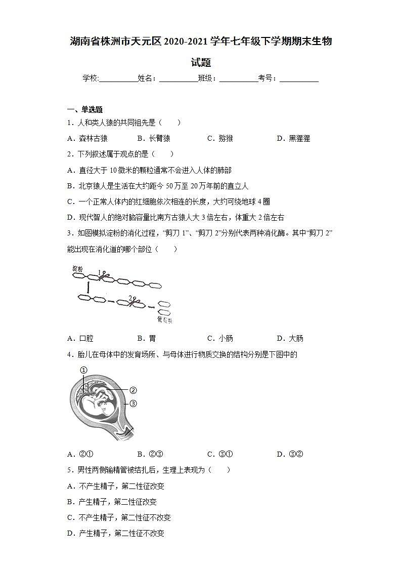 湖南省株洲市天元区2020-2021学年七年级下学期期末生物试题(word版含答案)01
