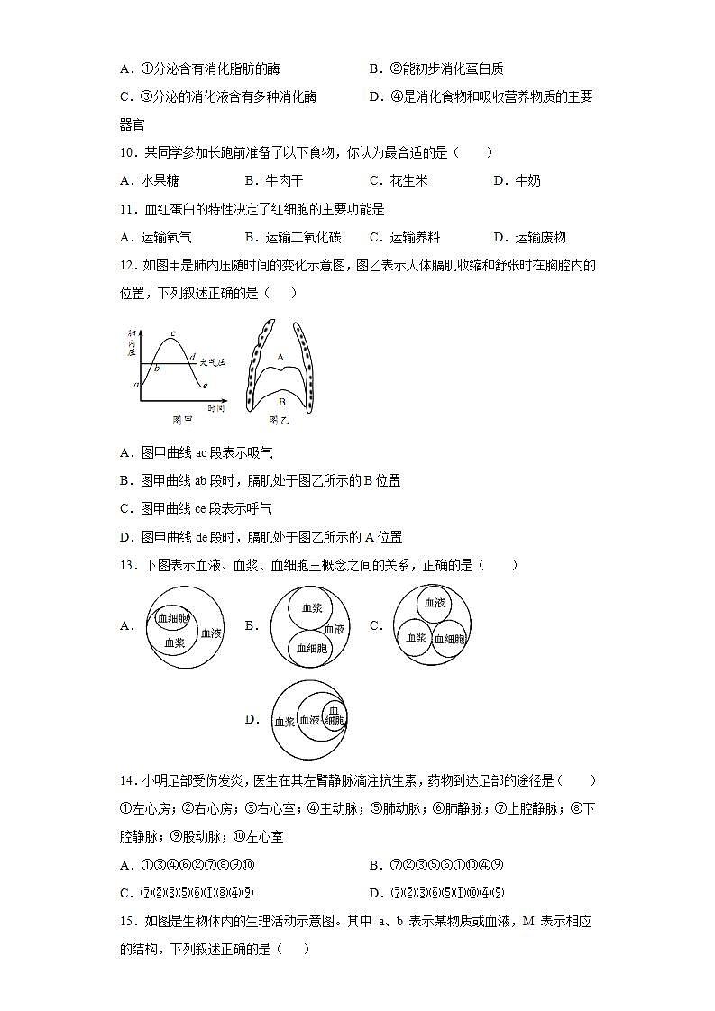 湖南省株洲市天元区2020-2021学年七年级下学期期末生物试题(word版含答案)03