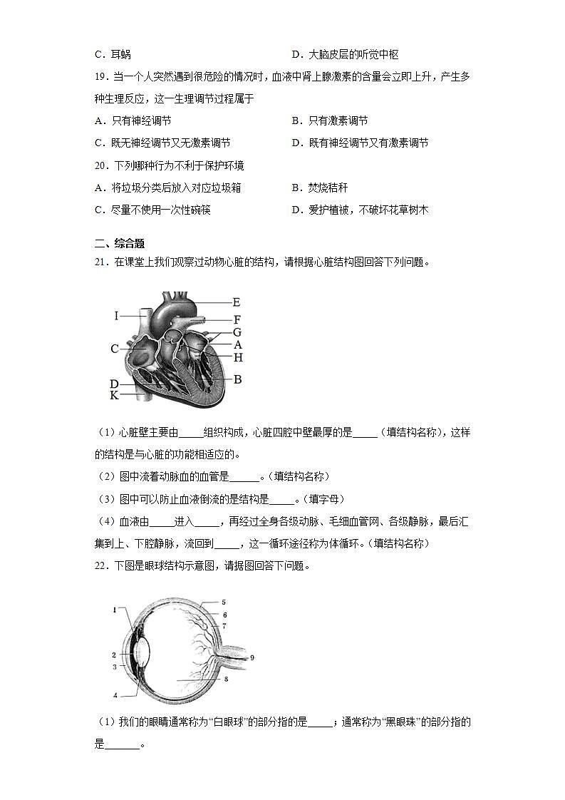 吉林省吉林市舒兰市2020-2021学年七年级下学期期末生物试题(word版含答案)第3页