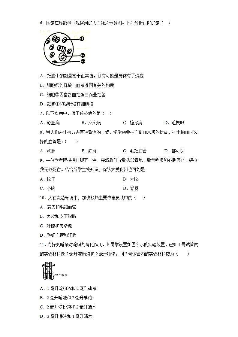 山东省德州市德城区2020-2021学年七年级下学期期末检测生物试题(word版含答案)第2页