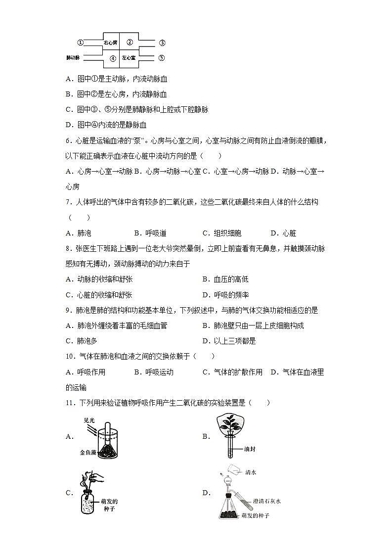 北京市门头沟区2019-2020学年七年级下学期期末生物试题(word版含答案)02