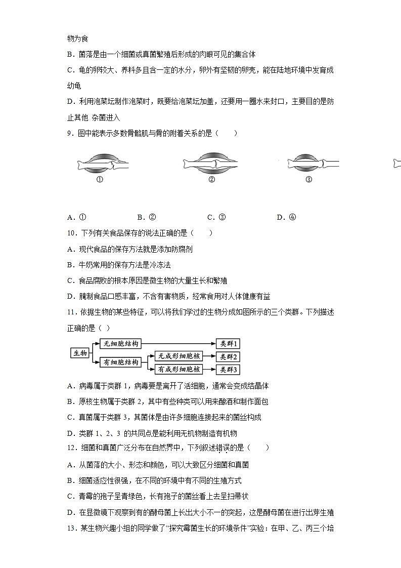 山东省聊城市高唐县2020-2021学年八年级上学期期中生物试题(word版含答案)02