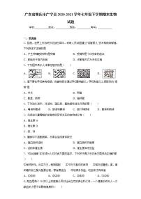 广东省肇庆市广宁县2020-2021学年七年级下学期期末生物试题(word版含答案)