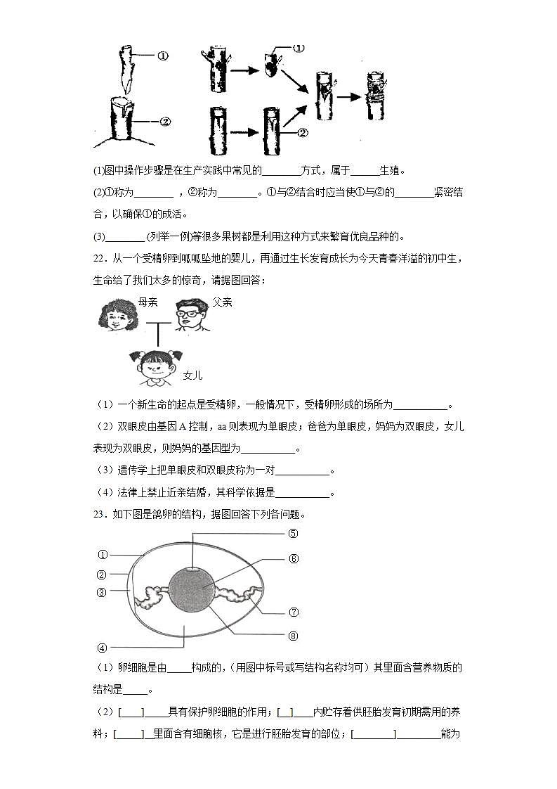 甘肃省武威2020-2021学年八年级下学期期末生物试题(word版含答案)第3页