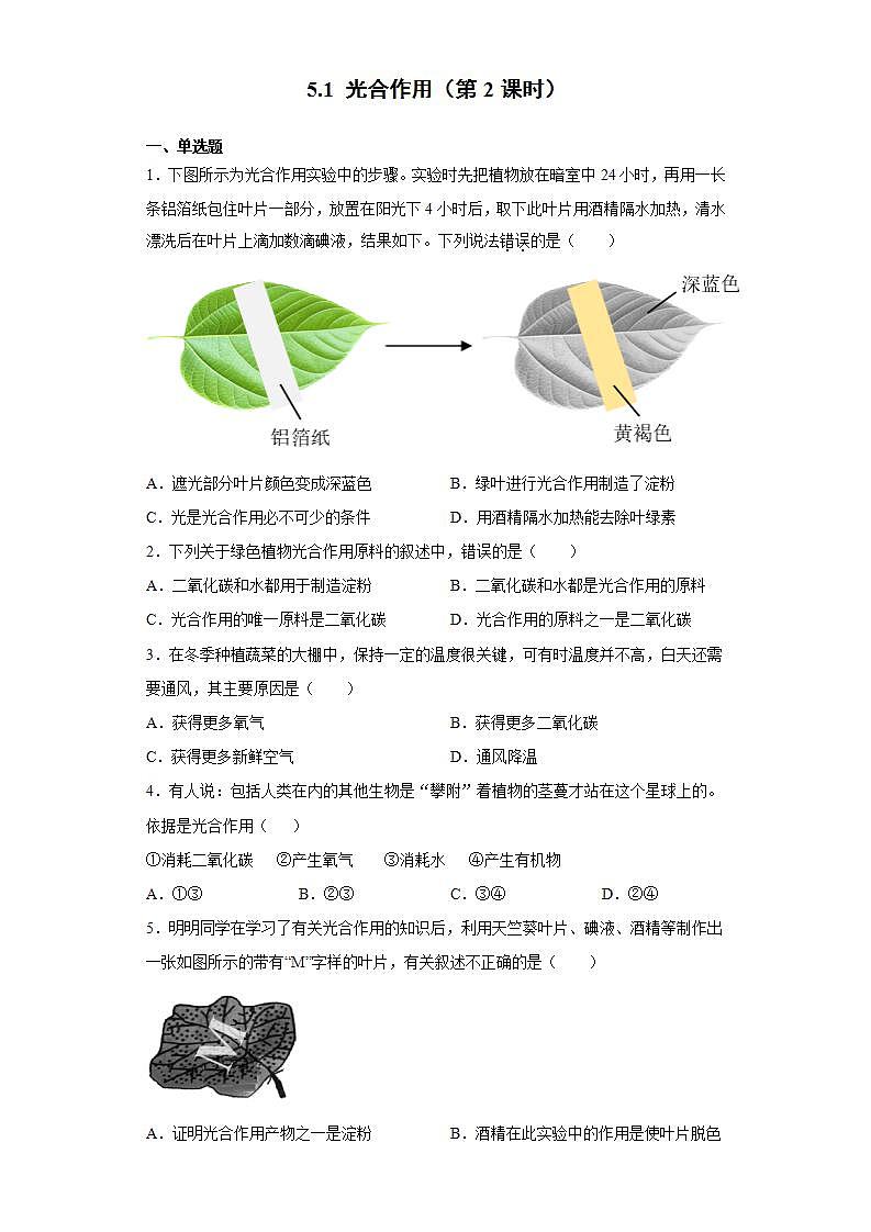 北师大版生物七年级上册 5.1光合作用（第2课时） 习题01