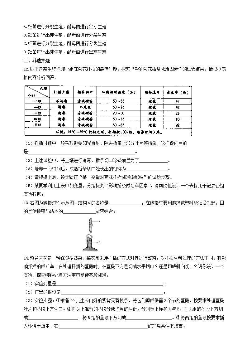 北师大版生物八年级上册《植物的生殖方式》练习题02