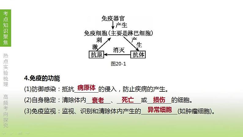 苏科版中考生物复习第八单元降地生活第20课时降地生活课件06