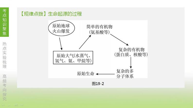 苏科版中考生物复习第七单元生命的延续与进化第19课时生物的进化课件第4页