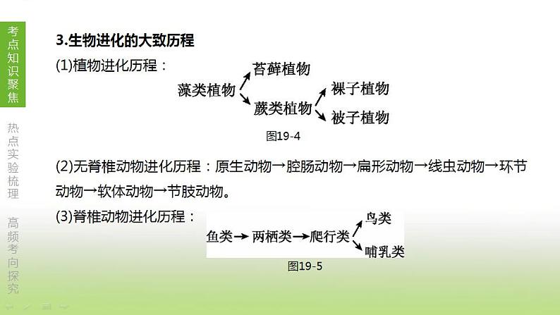 苏科版中考生物复习第七单元生命的延续与进化第19课时生物的进化课件第7页