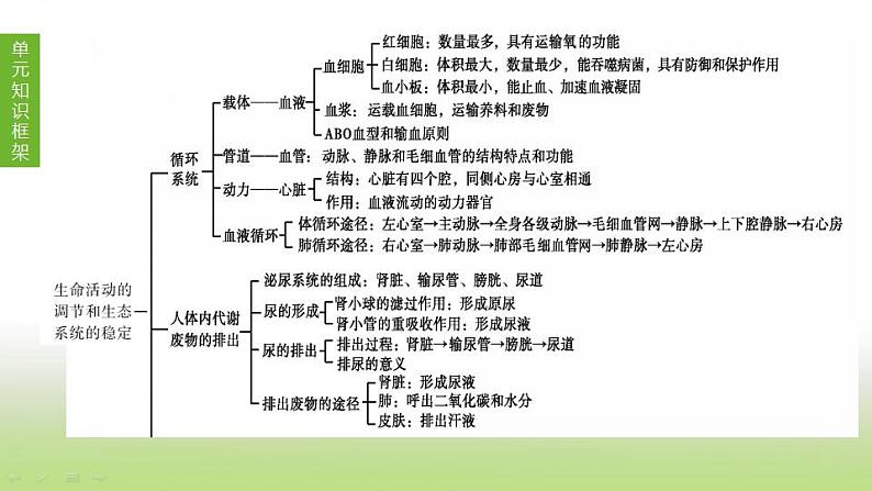 苏科版中考生物复习第六单元生命活动的调节和生态系统的稳定第10课时人体内物质的运输1血管血液和血型输血课件第1页