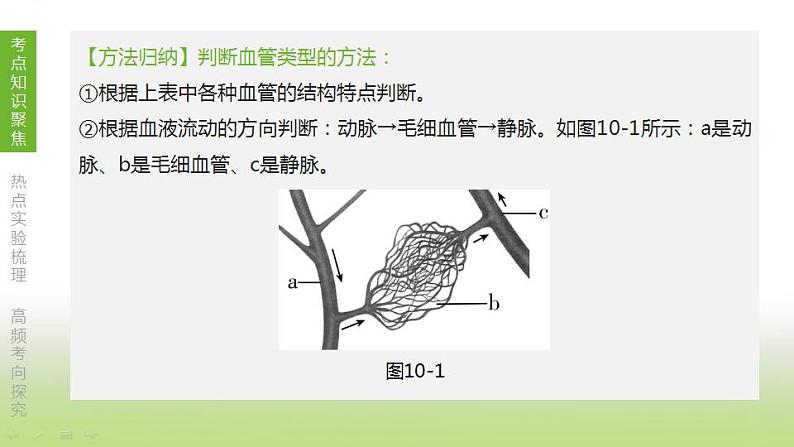 苏科版中考生物复习第六单元生命活动的调节和生态系统的稳定第10课时人体内物质的运输1血管血液和血型输血课件第7页