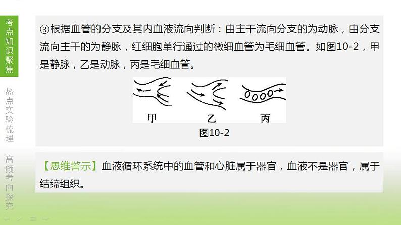 苏科版中考生物复习第六单元生命活动的调节和生态系统的稳定第10课时人体内物质的运输1血管血液和血型输血课件第8页