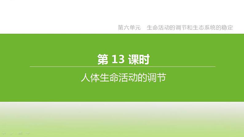 苏科版中考生物复习第六单元生命活动的调节和生态系统的稳定第13课时人体生命活动的调节课件第1页