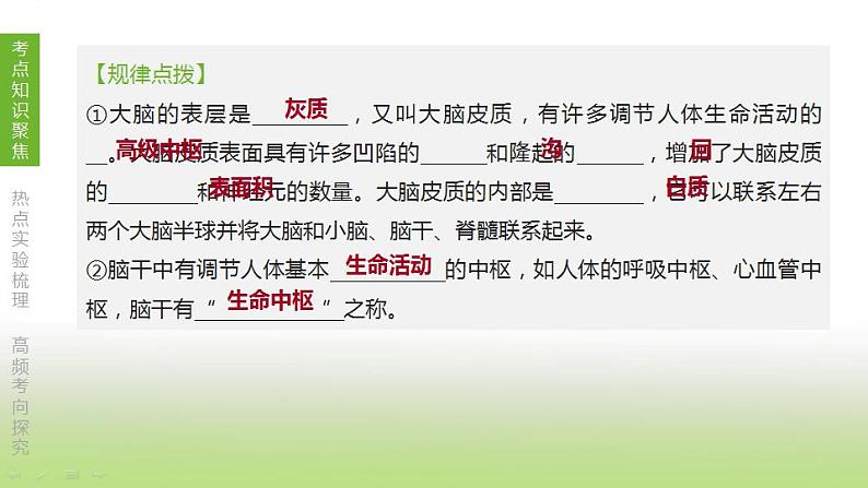 苏科版中考生物复习第六单元生命活动的调节和生态系统的稳定第13课时人体生命活动的调节课件第4页