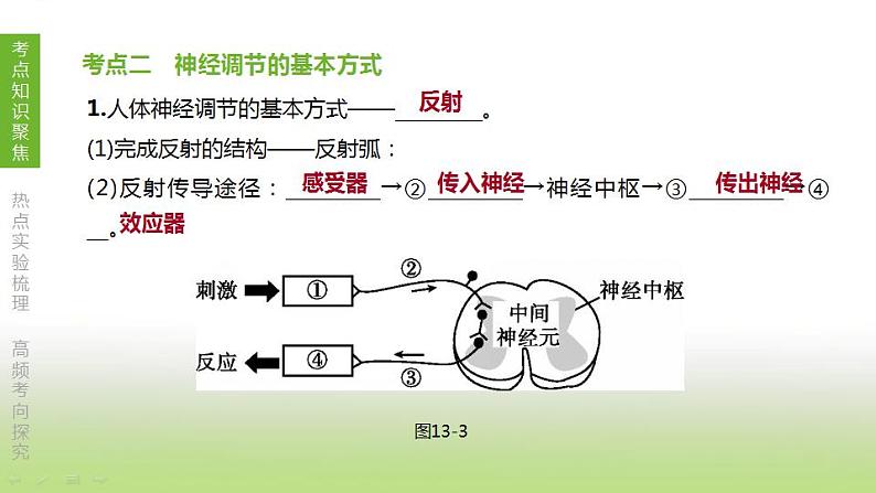 苏科版中考生物复习第六单元生命活动的调节和生态系统的稳定第13课时人体生命活动的调节课件第6页