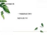 2021-2022 初中生物人教版七年级上册2.2.4单细胞生物 课件（27页）