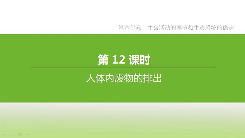 苏科版中考生物复习第六单元生命活动的调节和生态系统的稳定第12课时人体内废物的排出课件第1页