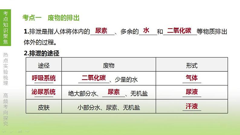 苏科版中考生物复习第六单元生命活动的调节和生态系统的稳定第12课时人体内废物的排出课件第2页