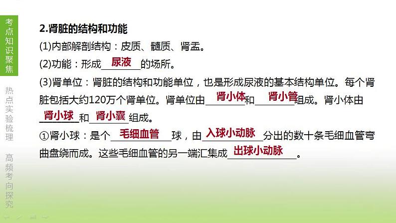 苏科版中考生物复习第六单元生命活动的调节和生态系统的稳定第12课时人体内废物的排出课件第5页