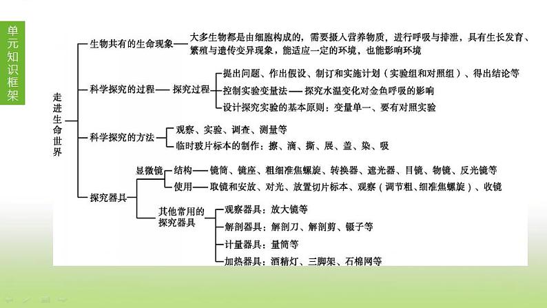 苏科版中考生物复习第一单元走进生命世界第01课时生物生物学的基本研究方法课件01