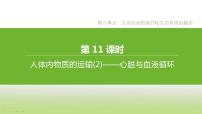 苏科版中考生物复习第六单元生命活动的调节和生态系统的稳定第11课时人体内物质的运输2心脏与血液循环课件