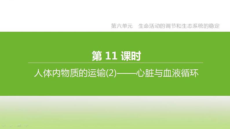 苏科版中考生物复习第六单元生命活动的调节和生态系统的稳定第11课时人体内物质的运输2心脏与血液循环课件第1页