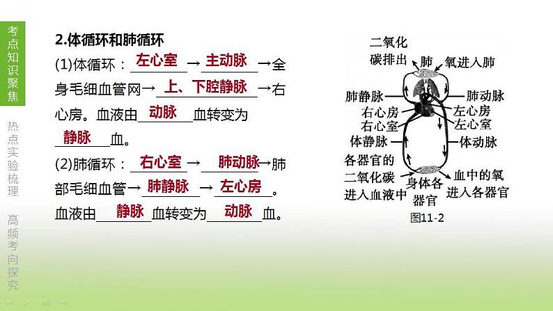 苏科版中考生物复习第六单元生命活动的调节和生态系统的稳定第11课时人体内物质的运输2心脏与血液循环课件第6页