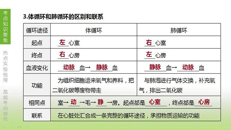 苏科版中考生物复习第六单元生命活动的调节和生态系统的稳定第11课时人体内物质的运输2心脏与血液循环课件第7页