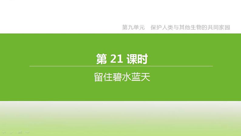 苏科版中考生物复习第九单元保护人类与其他生物的共同家园第21课时留住碧水蓝天课件第2页