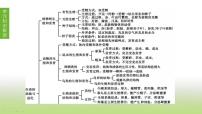 苏科版中考生物复习第七单元生命的延续与进化第16课时植物的生殖和发育课件