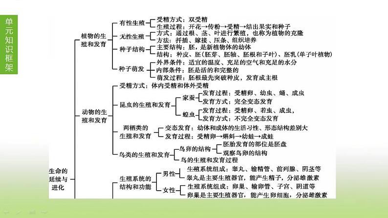 苏科版中考生物复习第七单元生命的延续与进化第16课时植物的生殖和发育课件第1页