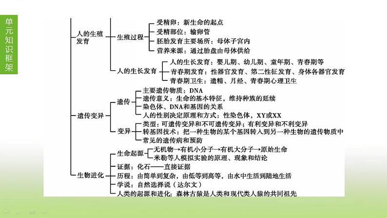 苏科版中考生物复习第七单元生命的延续与进化第16课时植物的生殖和发育课件第2页