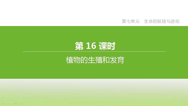 苏科版中考生物复习第七单元生命的延续与进化第16课时植物的生殖和发育课件第3页