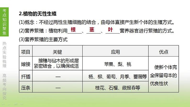 苏科版中考生物复习第七单元生命的延续与进化第16课时植物的生殖和发育课件第8页