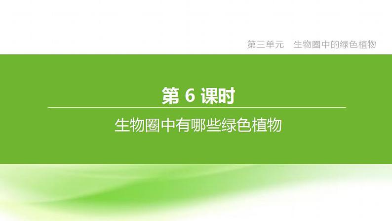 新人教版中考生物复习第三单元生物圈中的绿色植物第06课时生物圈中有哪些绿色植物课件01