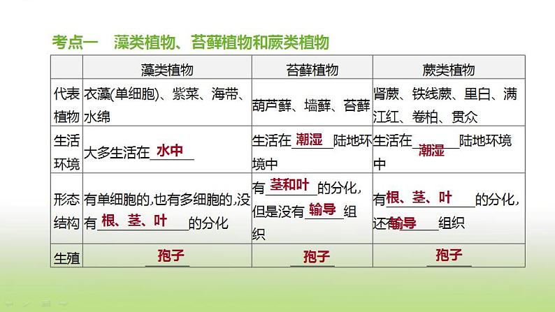 新人教版中考生物复习第三单元生物圈中的绿色植物第06课时生物圈中有哪些绿色植物课件02