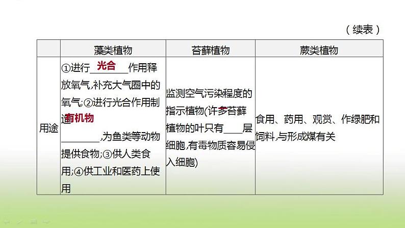 新人教版中考生物复习第三单元生物圈中的绿色植物第06课时生物圈中有哪些绿色植物课件03