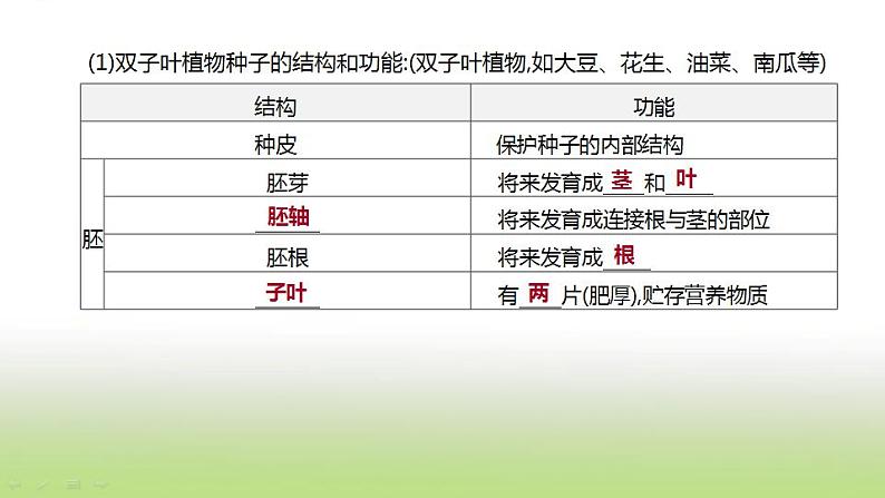 新人教版中考生物复习第三单元生物圈中的绿色植物第06课时生物圈中有哪些绿色植物课件07