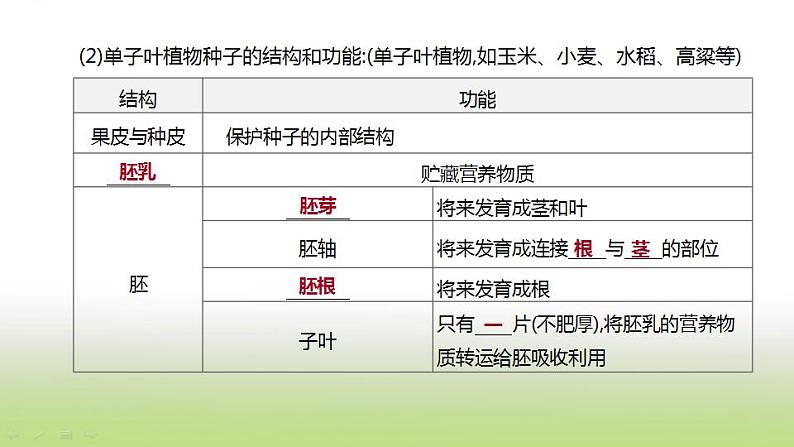 新人教版中考生物复习第三单元生物圈中的绿色植物第06课时生物圈中有哪些绿色植物课件08